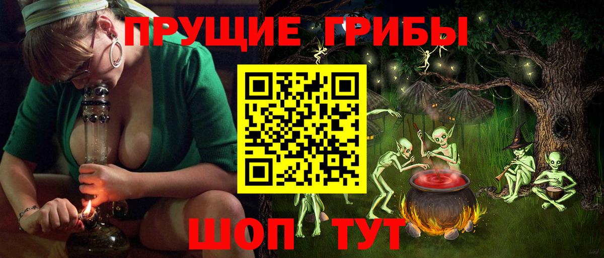 Галлюциногенные грибы Psilocybine cubensis Туймазы